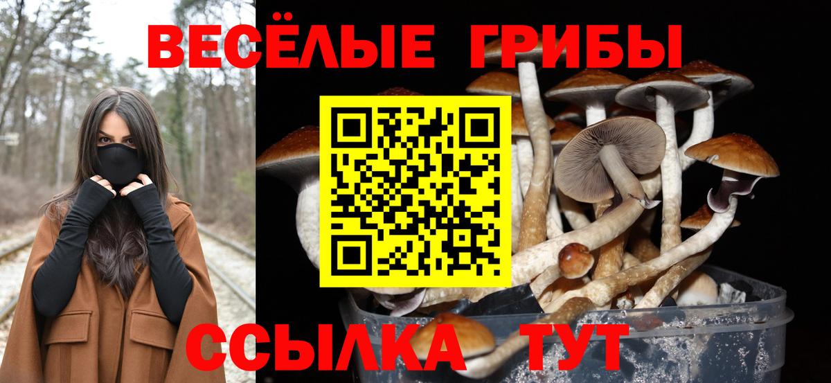 где купить наркотик  Вход с VPN  Иваново  Псилоцибиновые грибы MAGIC MUSHROOMS 